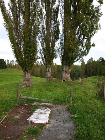 Grave of David Whyte at Hackfalls Station and Arboretum, Tiniroto, Gisborne NZ